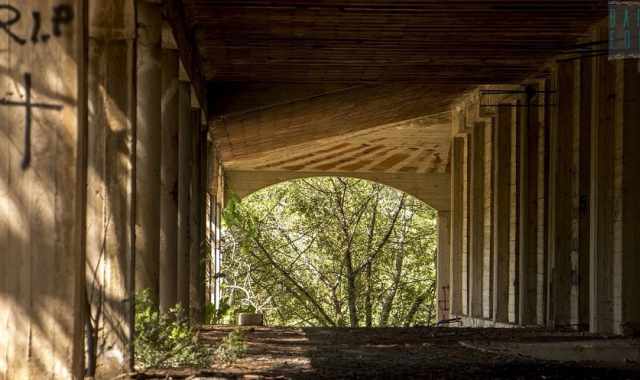 Scritte sataniche, feste notturne e tanto verde sprecato:  il Boschetto delle Fate